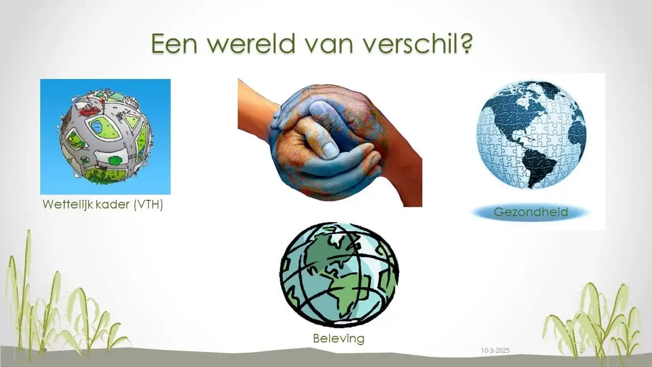 Powerpoint presentatie Dia 2